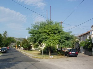 kulawebnews5