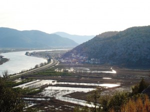 dsc066471