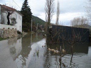 podrujnica